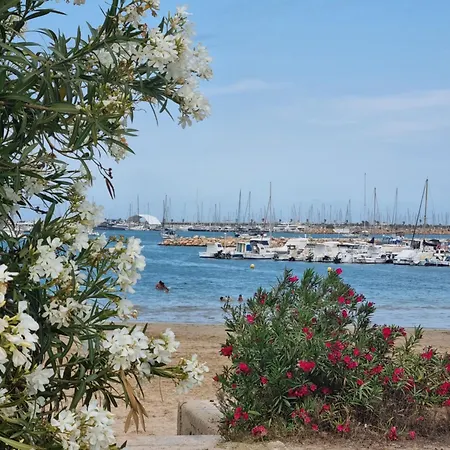 Leonarda Torrevieja