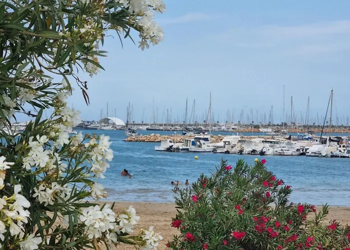 Leonarda Τορεβιέχα