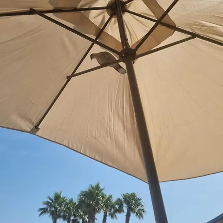 Apartamento Leonarda Torrevieja