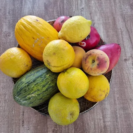 Apartman Leonarda Torrevieja