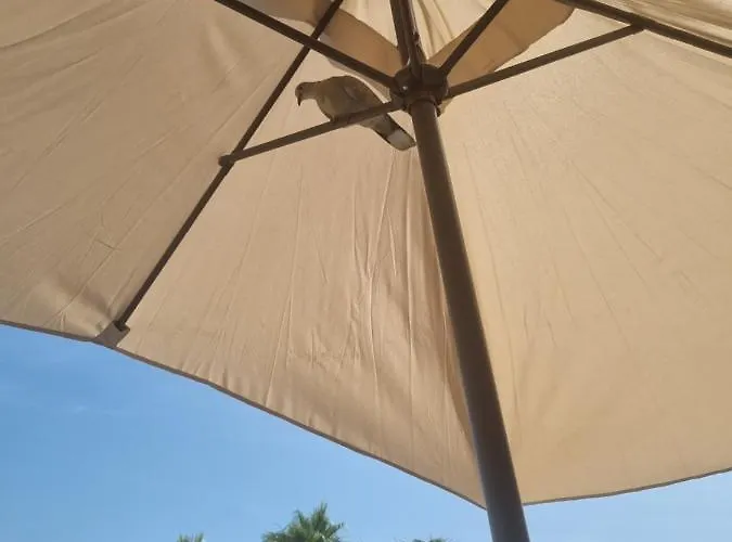 Apartman Leonarda Torrevieja