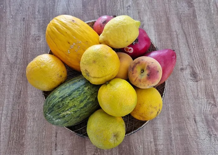 Apartment Leonarda Torrevieja